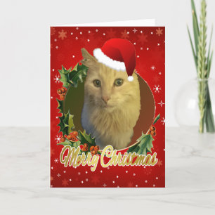 Adorable Cat In Santa Hat Christmas Holiday Card