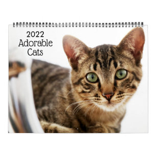 Adorable Cats 2022 Calendar