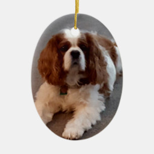 Adorable Cavalier King Charles Spaniel Ceramic Ornament