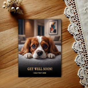 Adorable Cavalier King Charles Spaniel Get Well  Postcard