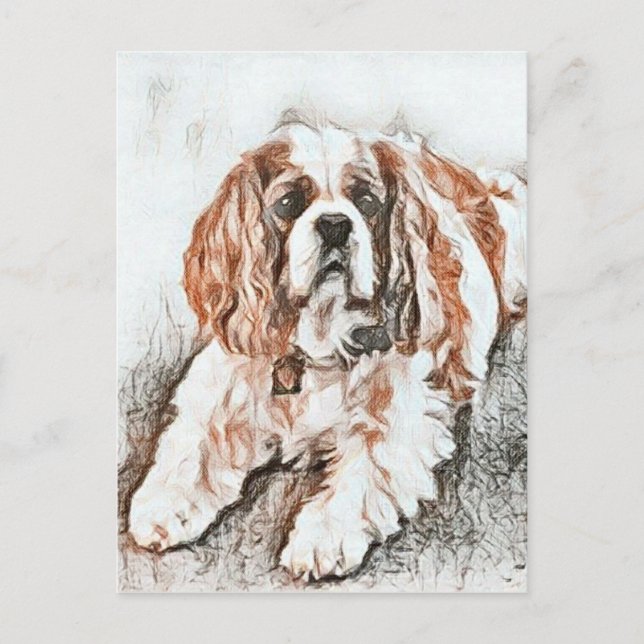 Adorable Cavalier King Charles Spaniel Sketch Postcard (Front)