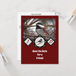 Adorable Chestnut Backed Chickadee Monogram Photo Invitation