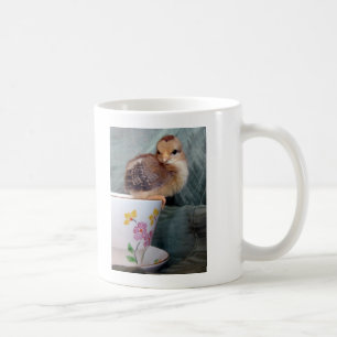 Adorable Chick On a Cup