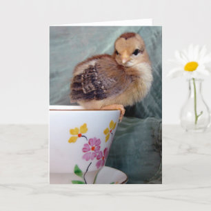 Adorable Chick on a Teacup by Angelandspot Card