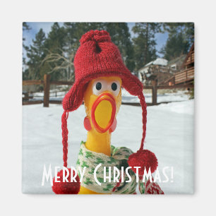Adorable Chicken Christmas Magnet! Magnet