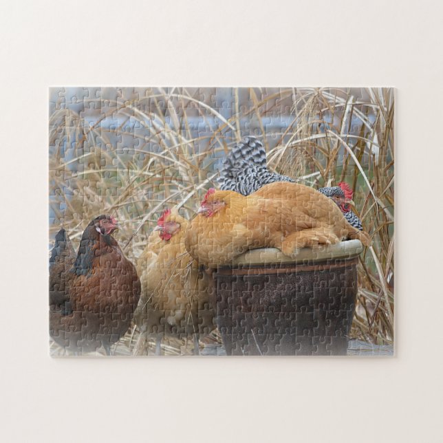 Adorable Chicken Puzzle (Horizontal)