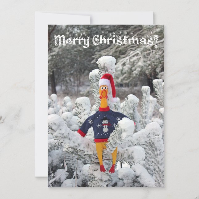Adorable Chicken Winter Christmas Card! Holiday Card (Front)
