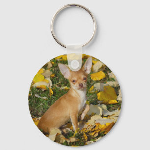 Adorable Chihuahua Puppy Between Yellow Leaves Key Ring