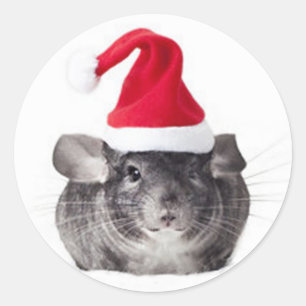 Adorable Chinchilla Santa Model Classic Round Sticker