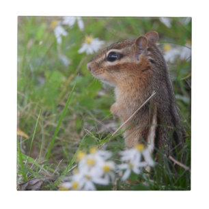 Adorable Chipmunk in flowers Ceramic Tile