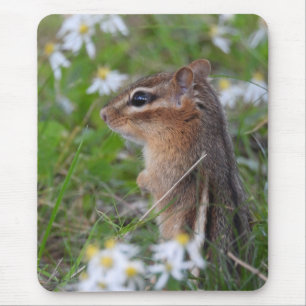 Adorable Chipmunk in flowers  Mouse Pad