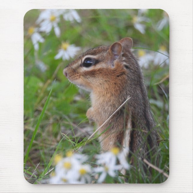 Adorable Chipmunk in flowers  Mouse Pad (Front)