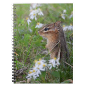 Adorable Chipmunk in flowers Notebook
