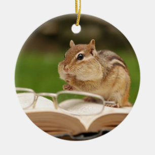 Adorable Chipmunk Reading Ceramic Ornament