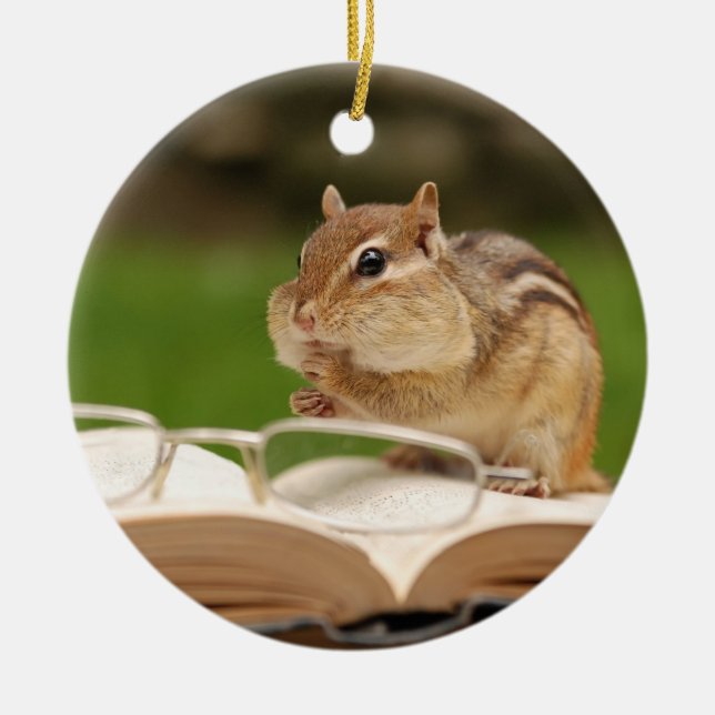 Adorable Chipmunk Reading Ceramic Ornament (Front)