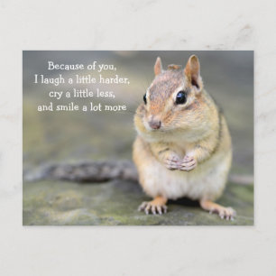 Adorable Chipmunk with Friendship Quote Postcard