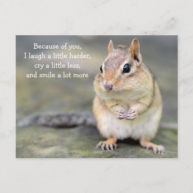 Adorable Chipmunk with Friendship Quote Postcard (Front)