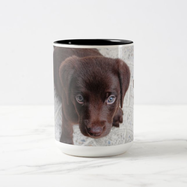 Adorable Chocolate Labrador Retriever puppy Two-Tone Coffee Mug (Center)