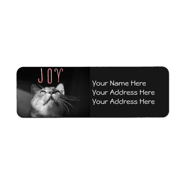 Adorable Christmas Cat Return Address Label (Front)
