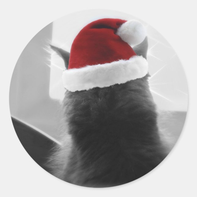 Adorable Christmas Kitten Classic Round Sticker (Front)