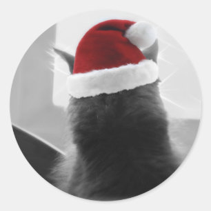 Adorable Christmas Kitten Classic Round Sticker
