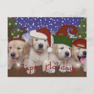Adorable Christmas Labrador Puppies! Holiday Postcard