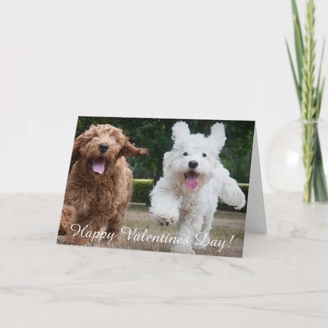 Adorable Cockapoo Puppies | Valentines Day Card (Front)