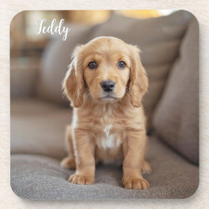 Adorable Cocker Spaniel Personalised Coaster Set