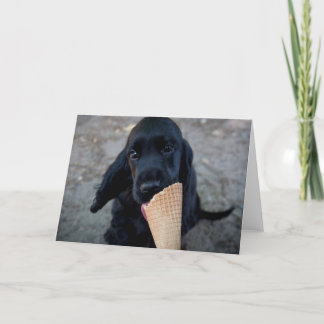 Adorable cocker spaniel puppy - greeting card