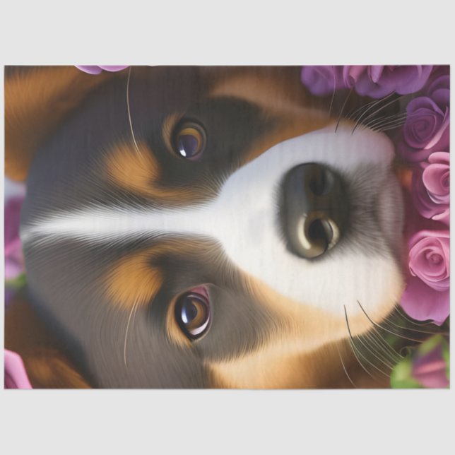 Adorable corgi pup in pink roses tissue paper (Front)