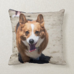 Adorable Corgi two sided throw pillow