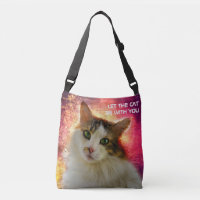 Adorable Cute Calico Cat