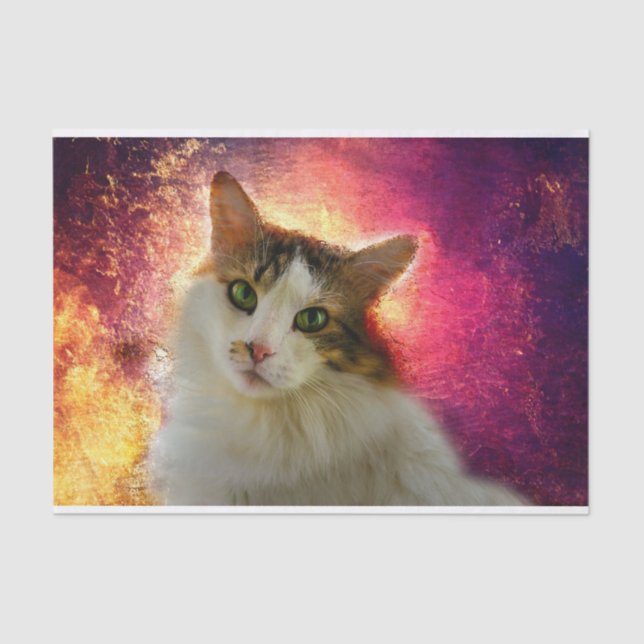 Adorable Cute Calico Cat Tissue Paper (Front)