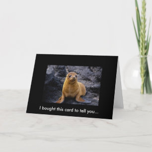 Adorable Cute Harbour Seal Pup On The Rocks Card