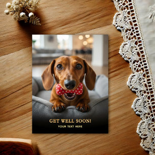 Adorable Dachshund Get Well Postcard 