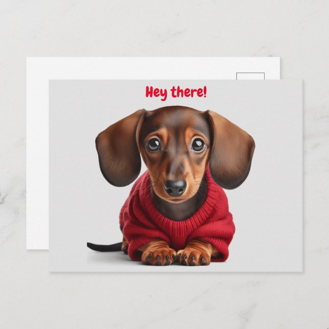 Adorable Dachshund Puppy  Postcard (Front/Back)