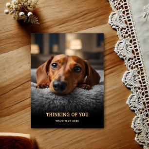 Adorable Dachshund Thinking Of You Postcard