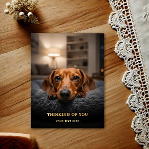 Adorable Dachshund Thinking Of You Postcard