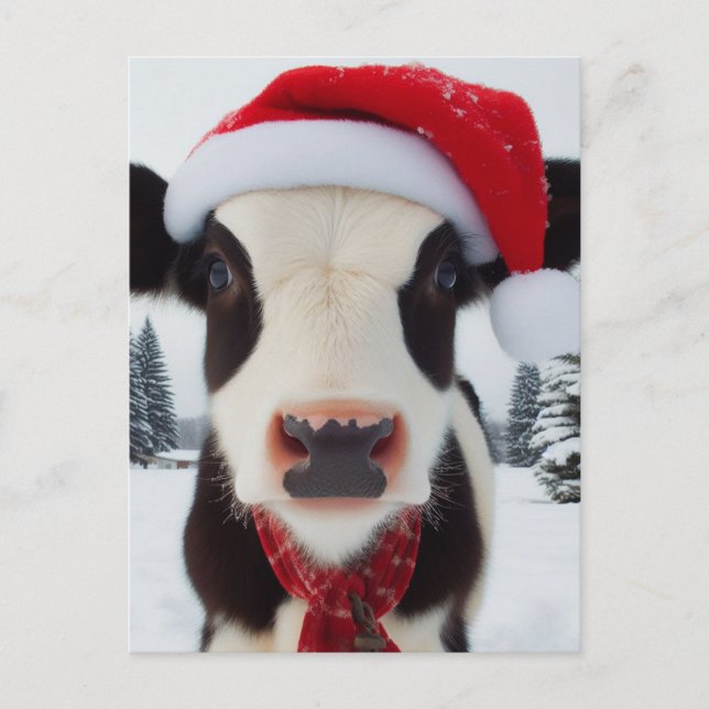 Adorable Dairy Cow in a Santa Hat Postcard (Front)
