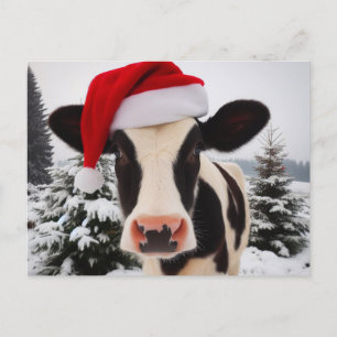 Adorable Dairy Cow in a Santa Hat Postcard