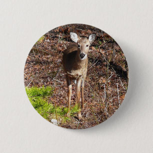 Adorable Deer in the Woods Nature Photography 6 Cm Round Badge