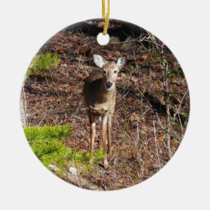 Adorable Deer in the Woods Nature Photography Ceramic Tree Decoration
