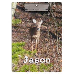 Adorable Deer in the Woods Nature Photography Clipboard
