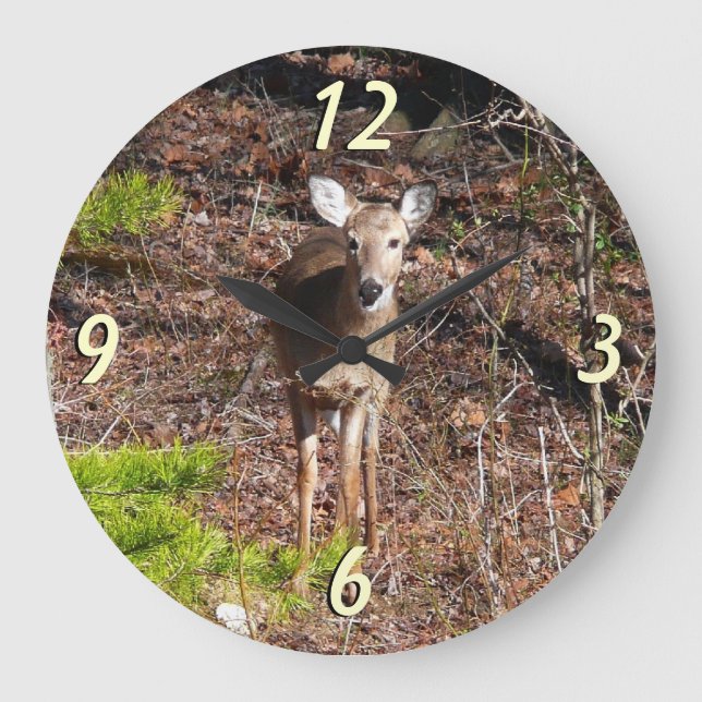 Adorable Deer in the Woods Nature Photography Large Clock (Front)