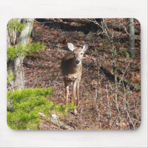 Adorable Deer in the Woods Nature Photography Mouse Pad