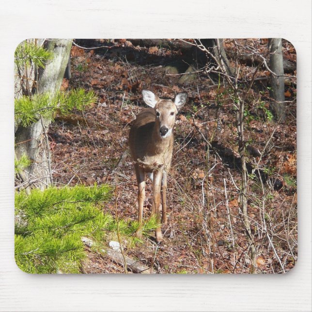 Adorable Deer in the Woods Nature Photography Mouse Pad (Front)