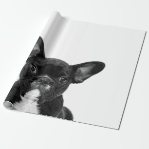 Adorable Dog Black French Bulldog Face Wrapping Paper