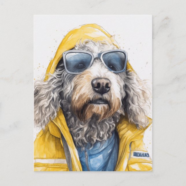 Adorable Dog in a yellow raincoat  Postcard (Front)