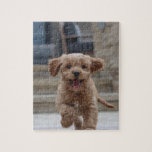 Adorable Dog Photo | Upload Your Pup Fur Baby Jigsaw Puzzle<br><div class="desc">Custom photo design your own template to include your favourite photograph of your dog, cat, pets, baby, kids, family or friends! An easy to personalise template to make your own one of a kind design with your image. The perfect gift for a loved one! The image shown is for illustration...</div>