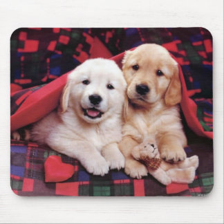 Adorable Dog Photography Cards, Gifts - Customise Mouse Pad
